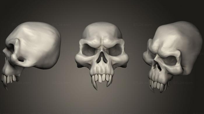 Anatomy of skeletons and skulls (Skull22, ANTM_1063) 3D models for cnc